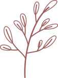 Fleurs_page_construction